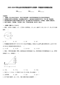 2023-2024学年山东菏泽定陶区数学九年级第一学期期末经典模拟试题含答案