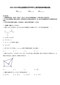 2023-2024学年山东聊城市文轩中学九上数学期末联考模拟试题含答案