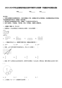 2023-2024学年山东聊城市阳谷实验中学数学九年级第一学期期末考试模拟试题含答案