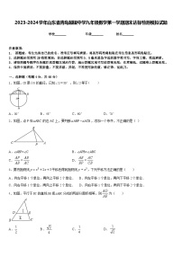 2023-2024学年山东省青岛超银中学九年级数学第一学期期末达标检测模拟试题含答案