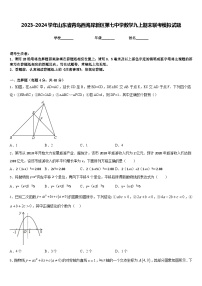 2023-2024学年山东省青岛西海岸新区第七中学数学九上期末联考模拟试题含答案