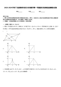 2023-2024学年广东省惠州市名校九年级数学第一学期期末质量跟踪监视模拟试题含答案