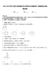 2023-2024学年广东省广州市越秀区育才实验学校九年级数学第一学期期末复习检测模拟试题含答案