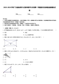 2023-2024学年广东省高州市九校联考数学九年级第一学期期末质量跟踪监视模拟试题含答案