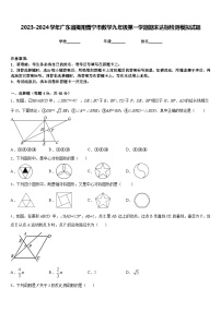 2023-2024学年广东省揭阳普宁市数学九年级第一学期期末达标检测模拟试题含答案