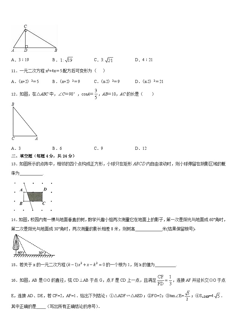 2023-2024学年广东省汕头市金山中学九上数学期末综合测试模拟试题含答案第3页