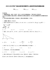 2023-2024学年广东省汕尾市海丰县数学九上期末教学质量检测模拟试题含答案