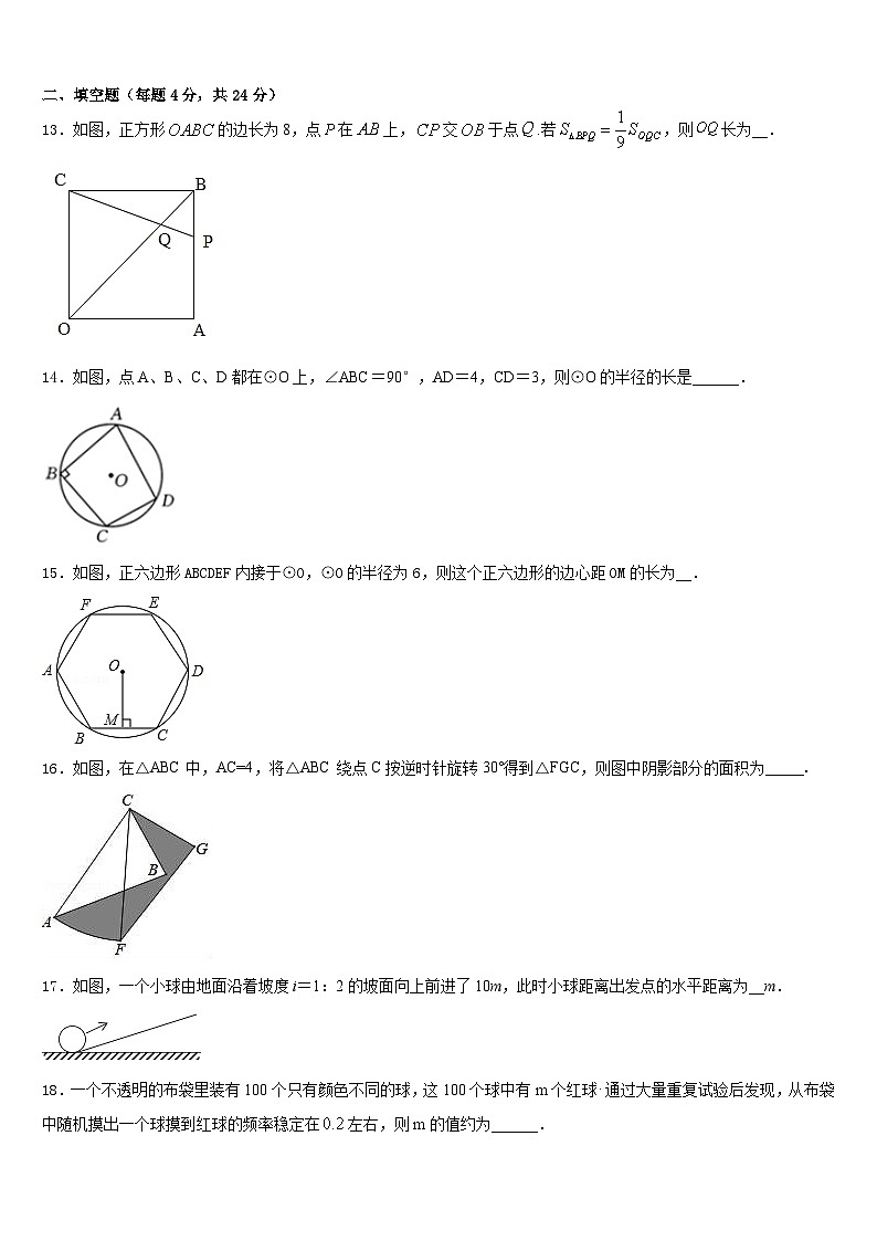 2023-2024学年广东省深圳市福田区十校联考九年级数学第一学期期末考试模拟试题含答案03