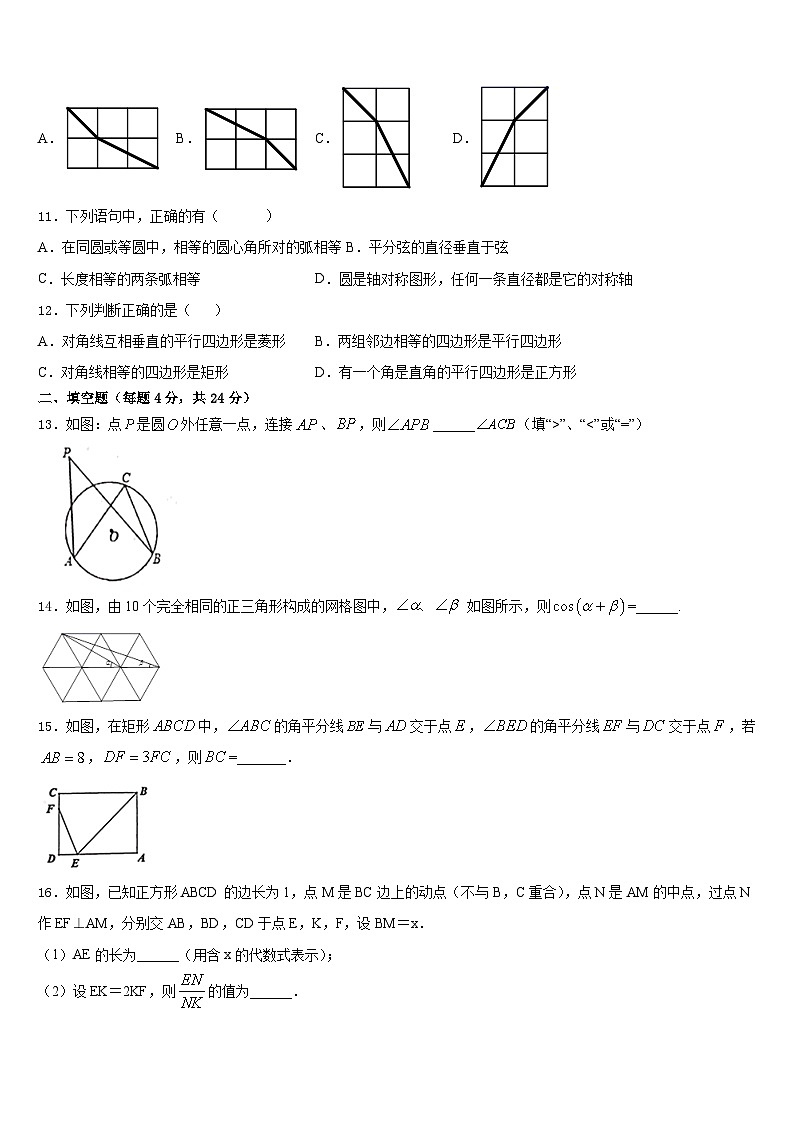 2023-2024学年广东省深圳市育才一中学初九上数学期末质量检测模拟试题含答案第3页