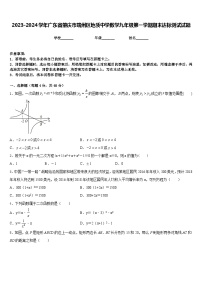 2023-2024学年广东省肇庆市端州区地质中学数学九年级第一学期期末达标测试试题含答案