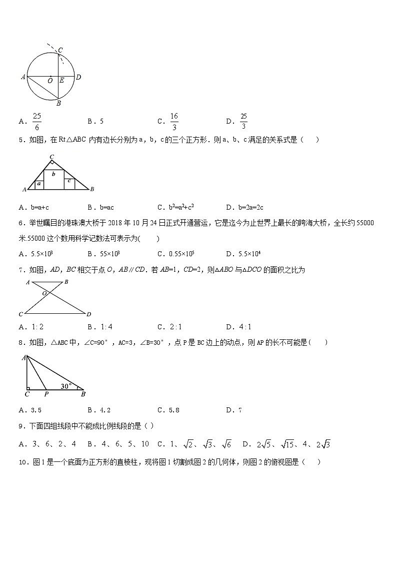 2023-2024学年成都市高新区草池初中九年级数学第一学期期末质量检测试题含答案第2页