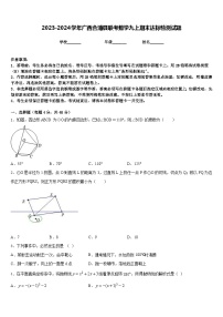 2023-2024学年广西合浦县联考数学九上期末达标检测试题含答案