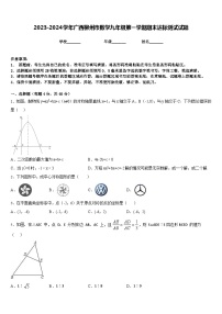 2023-2024学年广西柳州市数学九年级第一学期期末达标测试试题含答案