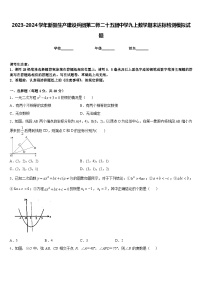 2023-2024学年新疆生产建设兵团第二师二十五团中学九上数学期末达标检测模拟试题含答案