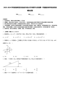 2023-2024学年新疆维吾尔自治区乌鲁木齐市数学九年级第一学期期末教学质量检测模拟试题含答案