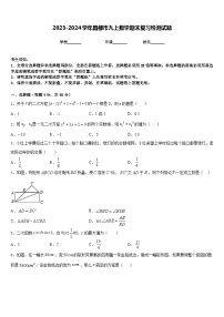 2023-2024学年昌都市九上数学期末复习检测试题含答案