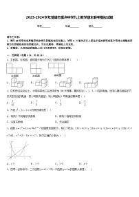 2023-2024学年楚雄市重点中学九上数学期末联考模拟试题含答案