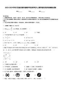 2023-2024学年江苏省无锡市省锡中学实验学校九上数学期末质量检测模拟试题含答案