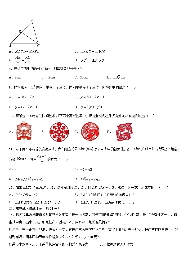 2023-2024学年江苏省无锡市硕放中学数学九上期末统考模拟试题含答案第3页