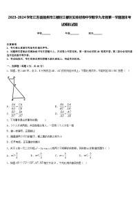 2023-2024学年江苏省扬州市江都区江都区实验初级中学数学九年级第一学期期末考试模拟试题含答案