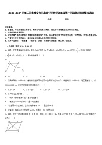 2023-2024学年江苏省淮安市田家炳中学数学九年级第一学期期末调研模拟试题含答案