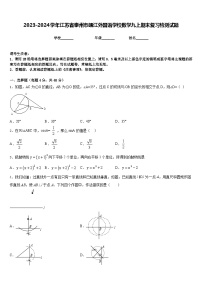 2023-2024学年江苏省泰州市靖江外国语学校数学九上期末复习检测试题含答案