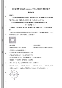 四川省绵阳市江油市2023-2024学年九年级上学期期末数学模拟试题（含答案）