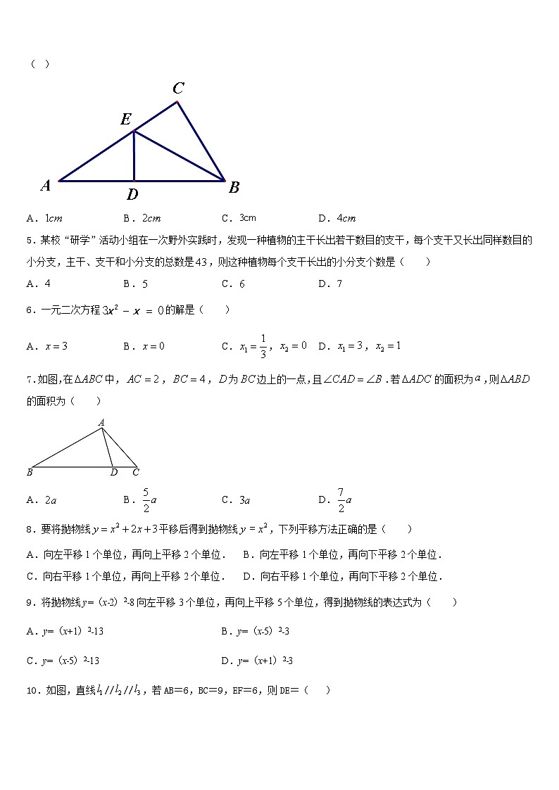 湖南省长沙市雨花区雅礼教育集团2023-2024学年九年级数学第一学期期末学业水平测试模拟试题含答案02