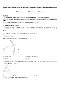 陕西省宝鸡市高新区2023-2024学年九年级数学第一学期期末学业水平测试模拟试题含答案