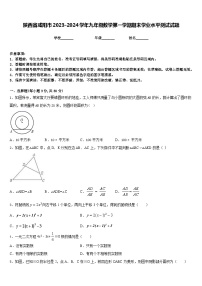 陕西省咸阳市2023-2024学年九年级数学第一学期期末学业水平测试试题含答案