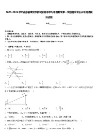 2023-2024学年山东省泰安市新城实验中学九年级数学第一学期期末学业水平测试模拟试题含答案