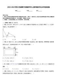 2023-2024学年江苏省泰兴市西城中学九上数学期末学业水平测试试题含答案