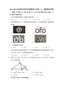 四川省泸州市纳溪区2023—-2024学年上学期八年级期末数学试卷