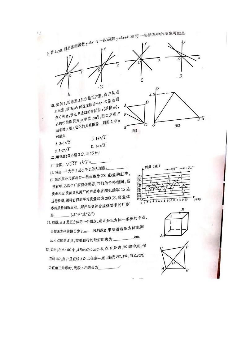 河南省平顶山市2023-2024学年上学期期末考试八年级数学试卷02