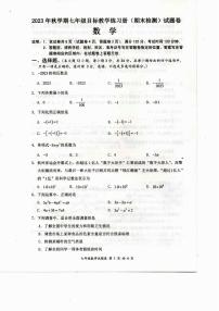 广西壮族自治区梧州市苍梧县2023-2024学年七年级上学期1月期末数学试题