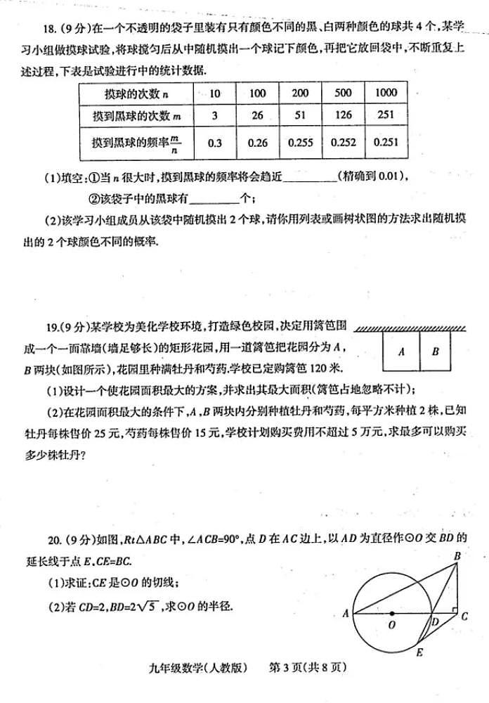 焦作2023-2024学年九年级上学期期末数学试卷及答案【人教版】第3页