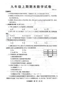 河南省新乡市辉县市2023-2024学年九年级上学期1月期末数学试题