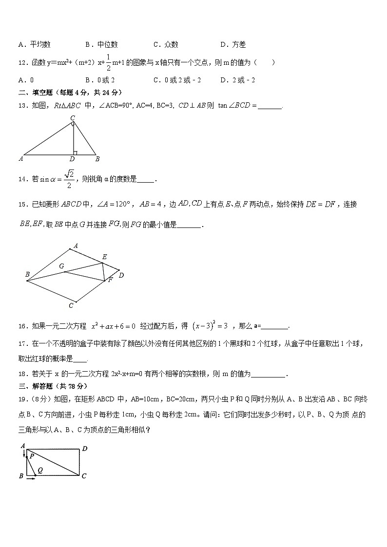 2023-2024学年河北省保定市清苑区北王力中学数学九年级第一学期期末质量检测试题含答案第3页