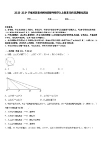 2023-2024学年河北省沧州沧县联考数学九上期末综合测试模拟试题含答案