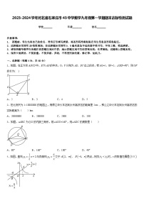 2023-2024学年河北省石家庄市43中学数学九年级第一学期期末达标检测试题含答案