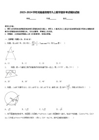 2023-2024学年河南省洛阳市九上数学期末考试模拟试题含答案