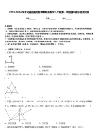 2023-2024学年河南省南阳新野县联考数学九年级第一学期期末达标测试试题含答案