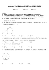 2023-2024学年河南省周口市鹿邑县数学九上期末监测模拟试题含答案