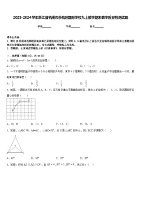 2023-2024学年浙江省杭州市余杭区国际学校九上数学期末教学质量检测试题含答案