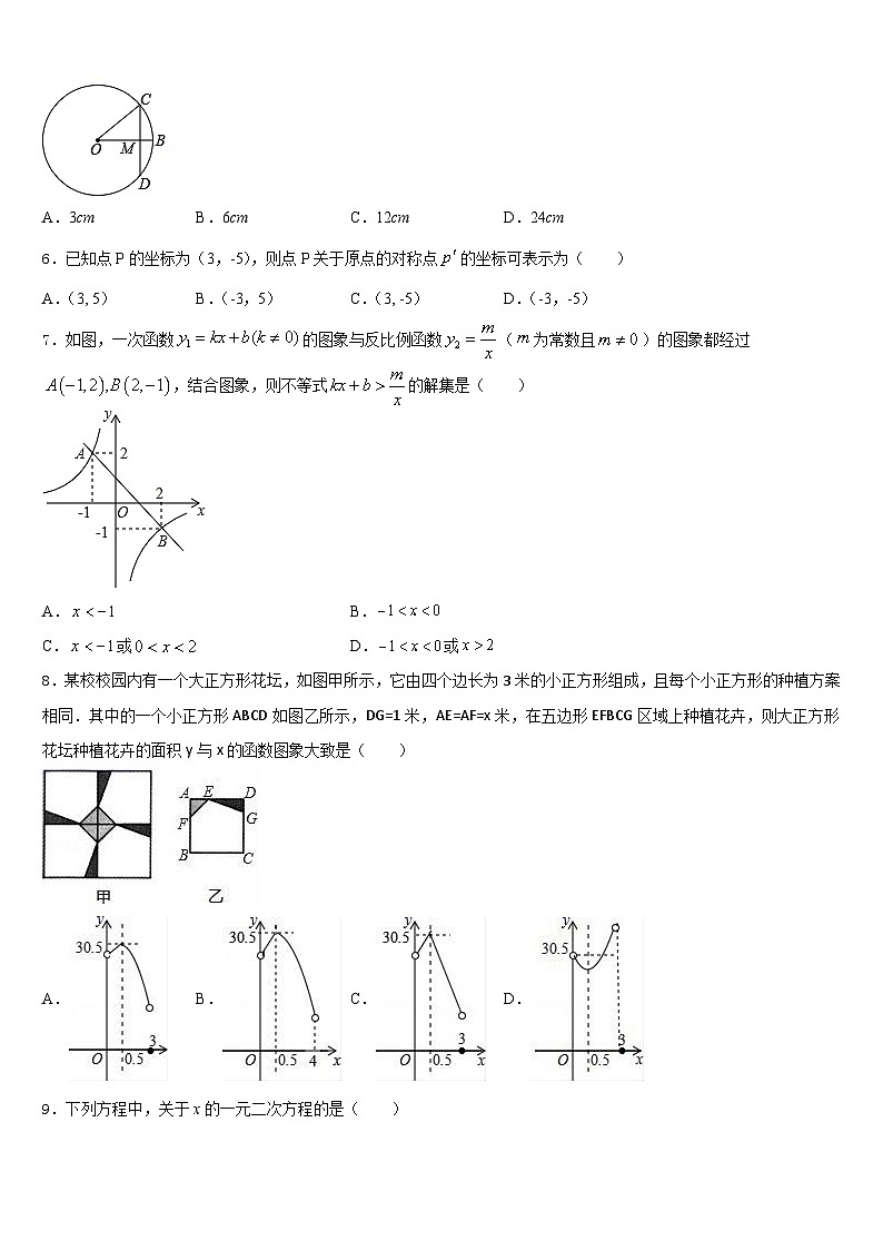 2023-2024学年浙江省杭州市下城区观城中学九上数学期末综合测试试题含答案第2页