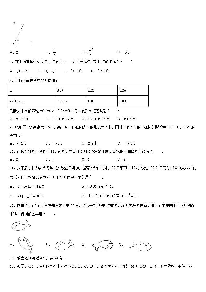 2023-2024学年浙江省衢州市教联盟体数学九上期末预测试题含答案第2页