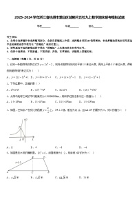 2023-2024学年浙江省杭州市萧山区城厢片五校九上数学期末联考模拟试题含答案