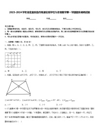 2023-2024学年湖北省恩施市思源实验学校九年级数学第一学期期末调研试题含答案