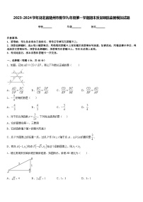 2023-2024学年湖北省随州市数学九年级第一学期期末质量跟踪监视模拟试题含答案