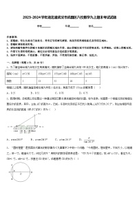 2023-2024学年湖北省武汉市武昌区八校数学九上期末考试试题含答案